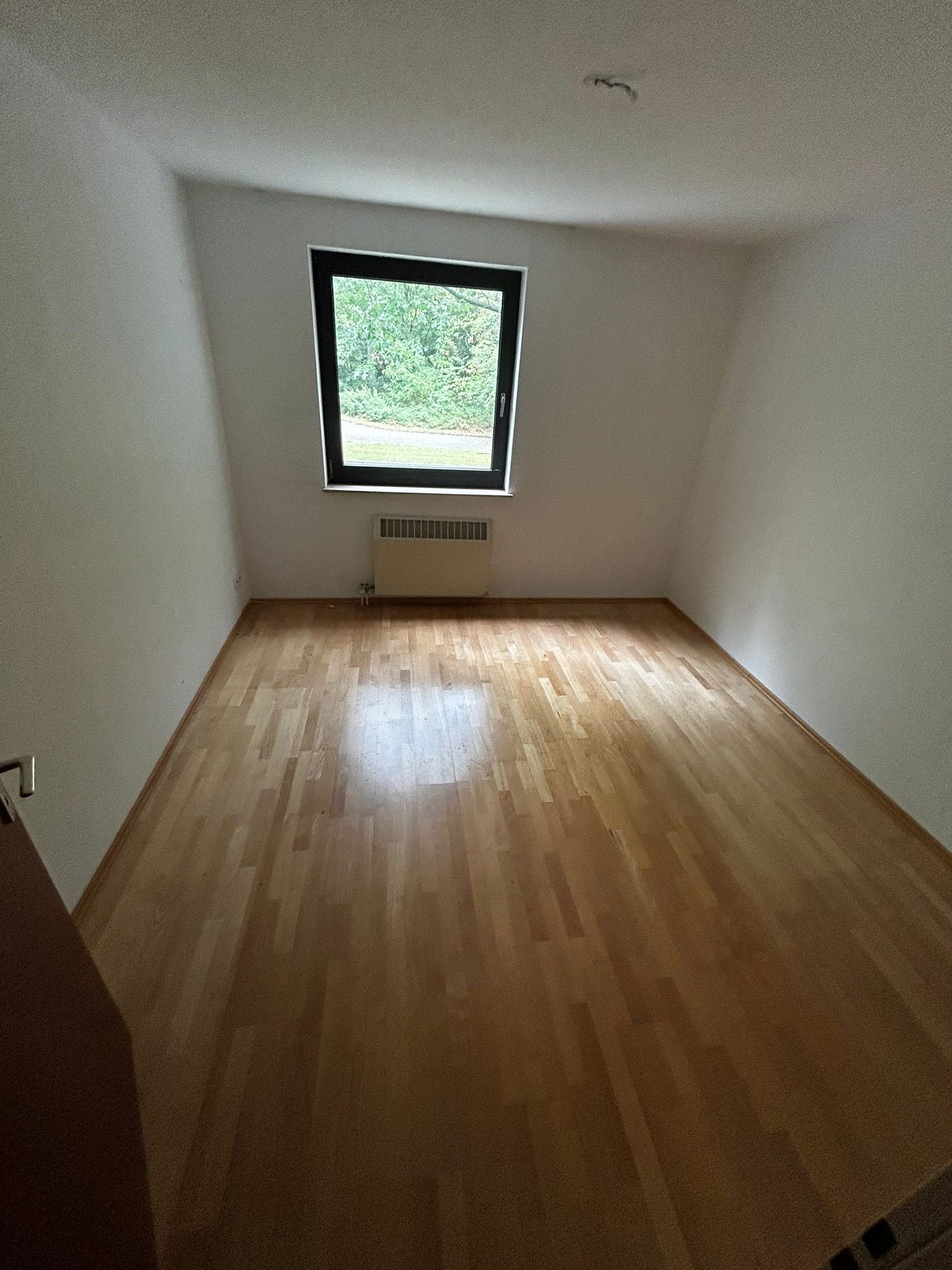 Wohnung in Erkrath-Hochdahl nach der Entrümpelung, besenrein übergeben (Bild 9)